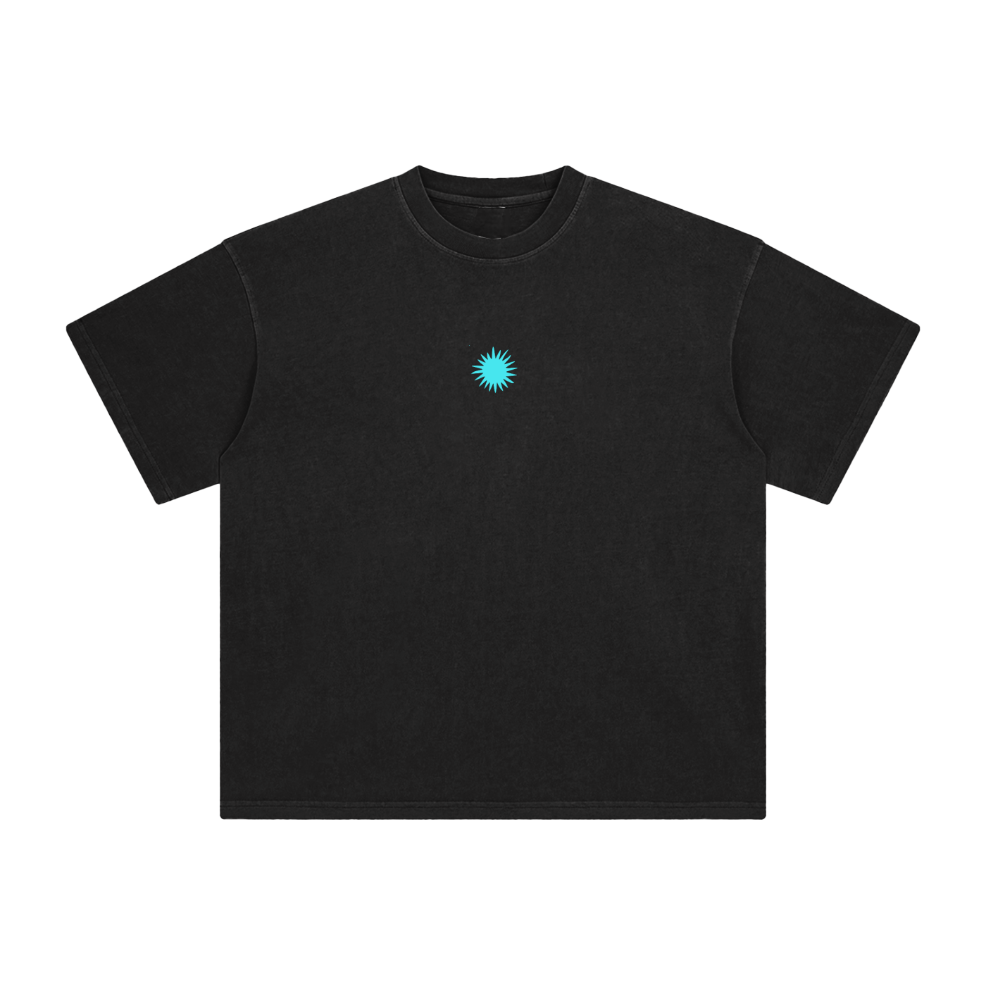 Enzyme Washed T-Shirt