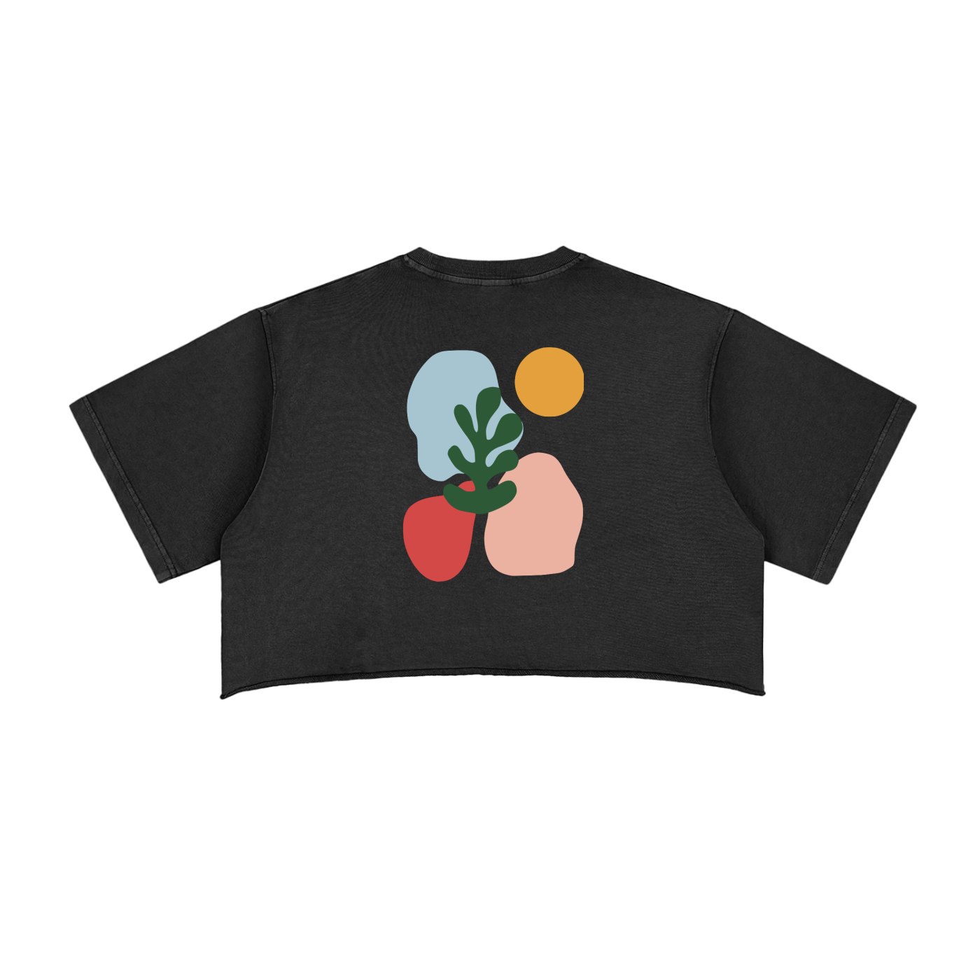 Snow Washed Raw Edge Crop Top